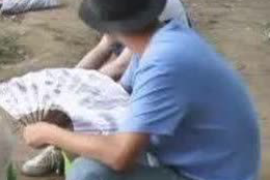 陆川要钱公司排名前十名：揭秘中国最具实力融资平台