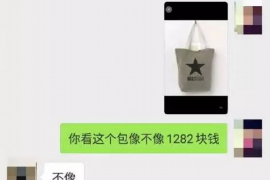 黑帮老大讨债韩剧：揭秘背后的人性与社会现象